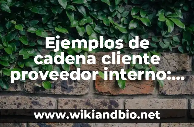 Ejemplos de cadena cliente proveedor interno: Definición según Autor, qué