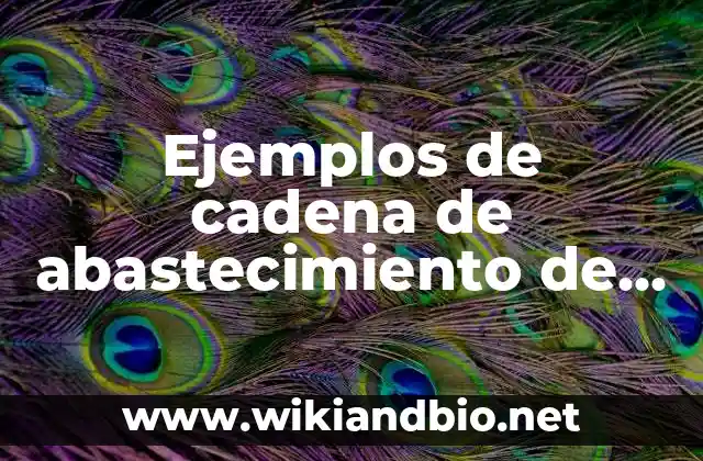 Ejemplos de cadena de abastecimiento de una empresa: Definición según