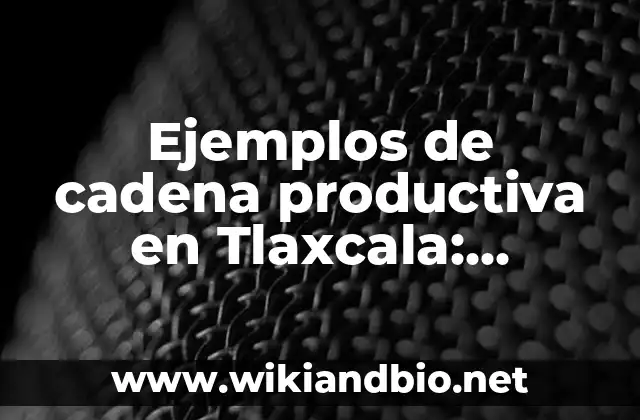 Ejemplos de cadena productiva en Tlaxcala: Definición según Autor, qué es, Concepto y Significado