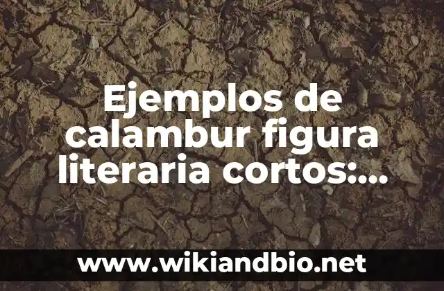 Ejemplos de calambur figura literaria cortos: Definición según Autor, qué es, Concepto y Significado