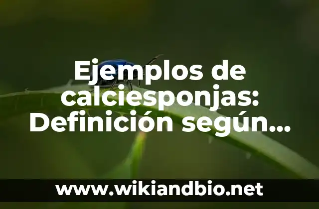 Ejemplos de calciesponjas: Definición según Autor, qué es, Concepto y Significado