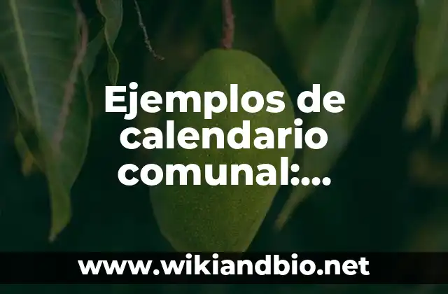 Ejemplos de calendario comunal: Definición según Autor, qué es, Concepto