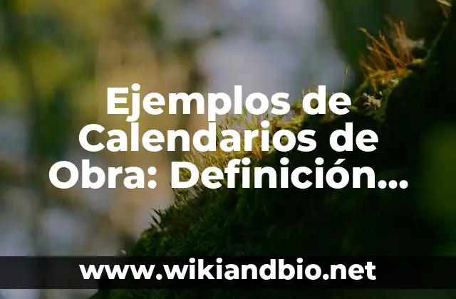 Ejemplos de Calendarios de Obra: Definición según Autor, qué es, Concepto y Significado
