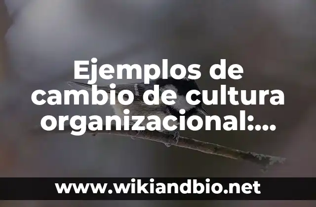 Ejemplos de cambio de cultura organizacional