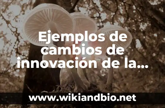 Ejemplos de cambios de innovación de la prehistoria: Definición según