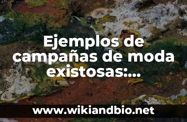 Ejemplos de campañas de moda existosas: Definición según Autor, ¿qué es?