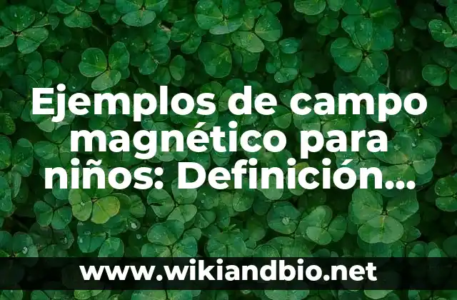 Ejemplos de campo magnético para niños: Definición según Autor, ¿qué es?