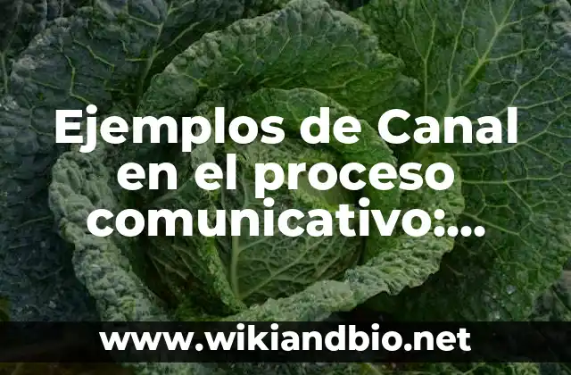 Ejemplos de Canal en el proceso comunicativo: Definición según Autor, qué es, Concepto y Significado