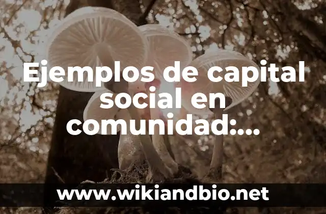 Ejemplos de capital social en comunidad: Definición según Autor, ¿qué es?