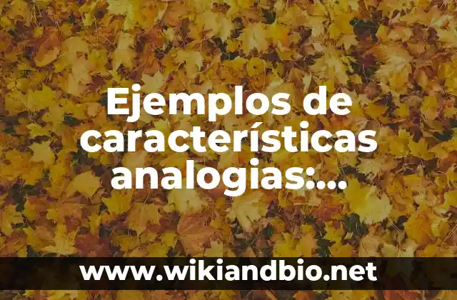 Ejemplos de características analogias: Definición según Autor, ¿qué es?