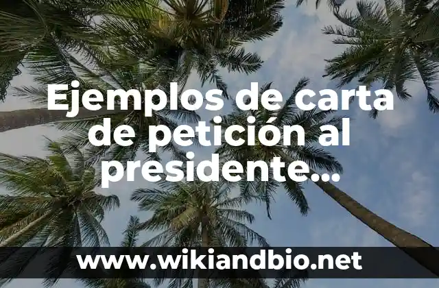 Ejemplos de carta de petición al presidente municipal