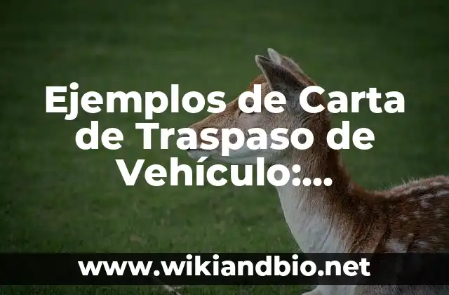 Ejemplos de Carta de Traspaso de Vehículo: Definición según Autor, ¿qué es?