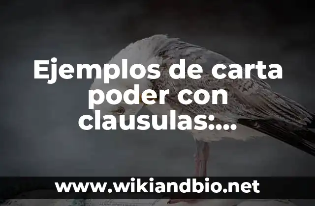 Ejemplos de carta poder con clausulas: Definición según Autor, qué es, Concepto y Significado