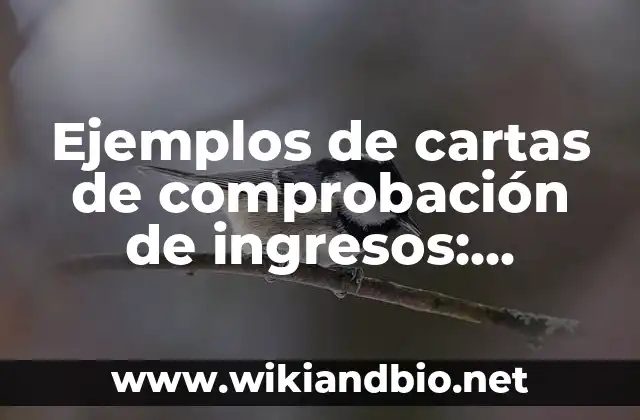 Ejemplos de cartas de comprobación de ingresos: Definición según Autor, qué