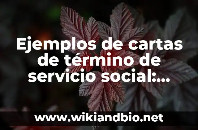 Ejemplos de cartas de término de servicio social: Definición según Autor