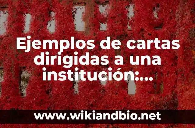 Definición de relaciones funcionales matemáticas: según Autor, Ejemplos, qué es, Concepto y Significado 8 Ejemplos de cartas dirigidas a una institución: Definición según Autor, qué es, Concepto y Significado