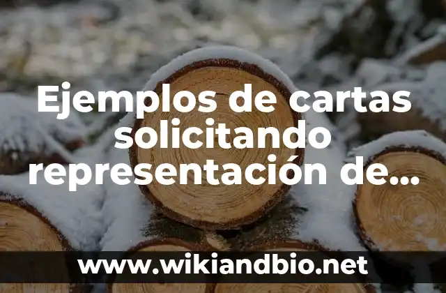 Ejemplos de cartas solicitando representación de grupo