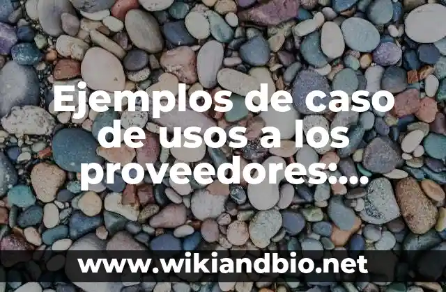 Ejemplos de caso de usos a los proveedores: Definición según Autor, qué es, Concepto y Significado