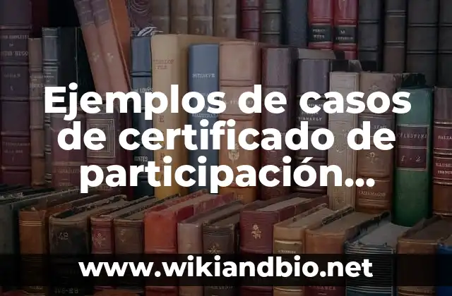 Ejemplos de casos de certificado de participación México: Definición según