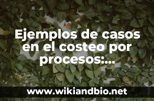 Ejemplos de casos en el costeo por procesos: Definición según Autor, qué