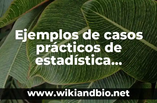 Ejemplos de casos prácticos de estadística aplicada con las medidas descritivas: Definición según Autor, qué es, Concepto y Significado