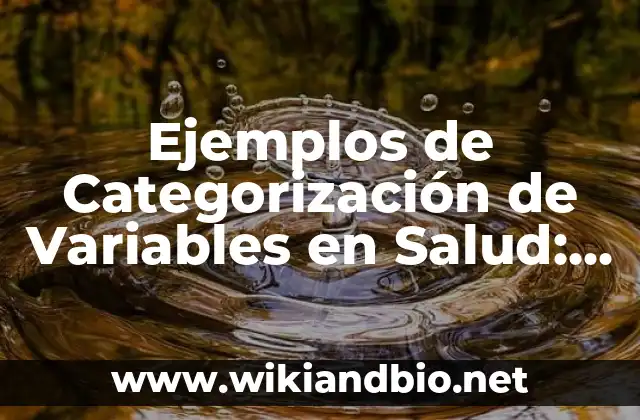 Ejemplos de Categorización de Variables en Salud: Definición según Autor