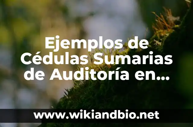 Ejemplos de Cédulas Sumarias de Auditoría en Excel: Definición según Autor