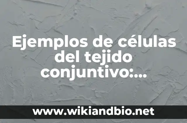 Ejemplos de células del tejido conjuntivo: Definición según Autor, qué es, Concepto y Significado