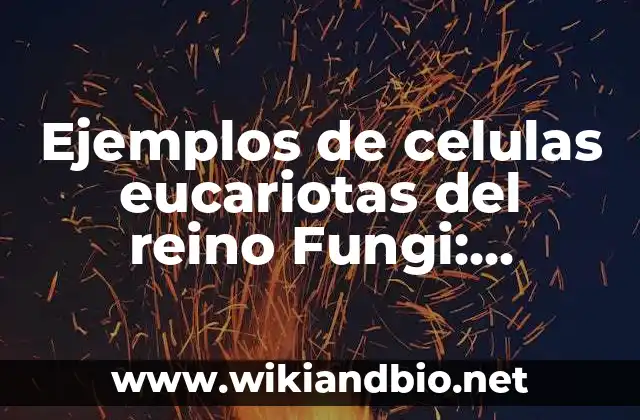 Ejemplos de celulas eucariotas del reino Fungi: Definición según Autor, qué