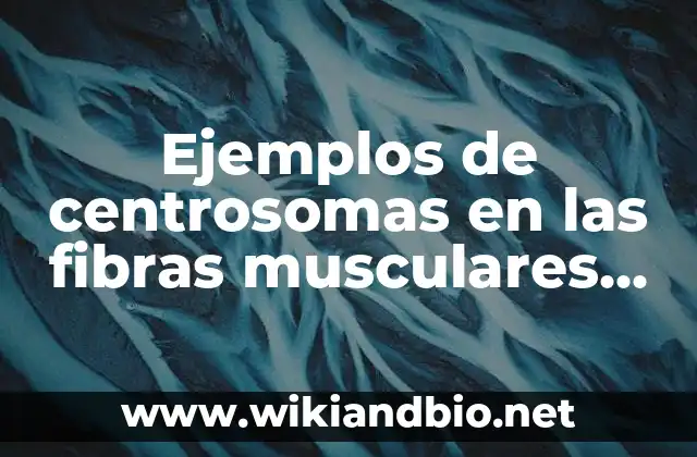 Ejemplos de centrosomas en las fibras musculares no mebranosas