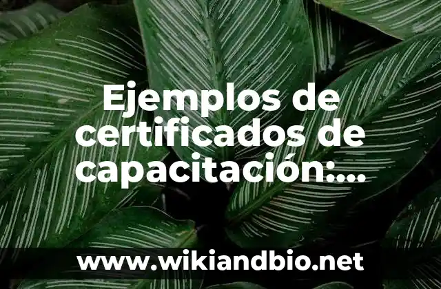 Ejemplos de certificados de capacitación: Definición según Autor, ¿qué es?