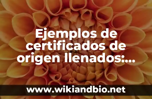 Ejemplos de certificados de origen llenados: Definición según Autor, qué