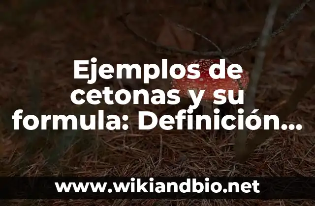 Ejemplos de cetonas y su formula: Definición según Autor, qué es, Concepto