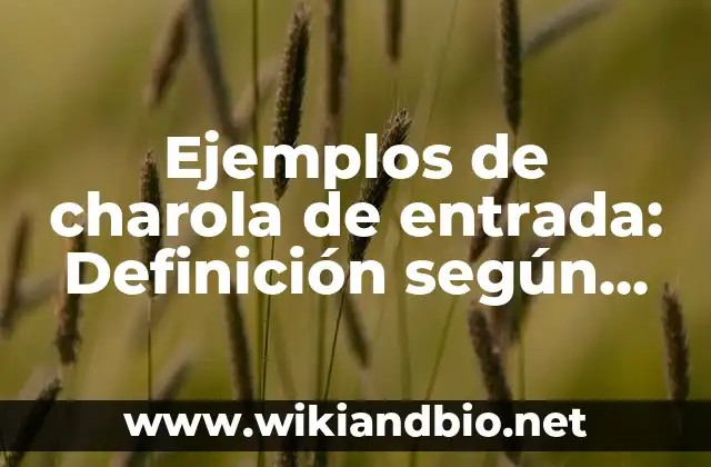 Ejemplos de charola de entrada: Definición según Autor, qué es, Concepto