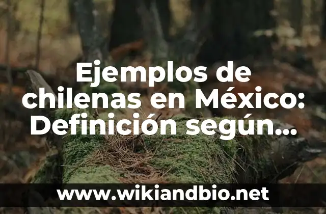 Ejemplos de chilenas en México: Definición según Autor, qué es, Concepto