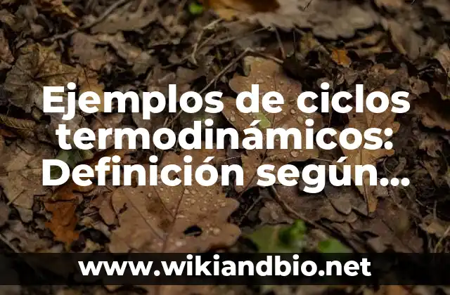 Ejemplos de ciclos termodinámicos: Definición según Autor, qué es, Concepto