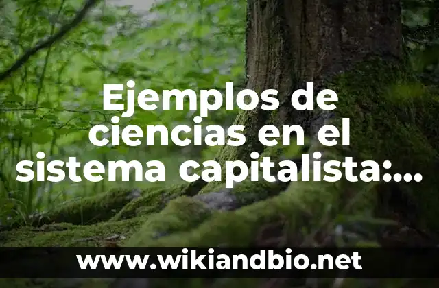 Ejemplos de ciencias en el sistema capitalista: Definición según Autor, qué es, Concepto y Significado