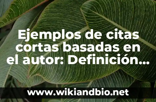 Ejemplos de citas cortas basadas en el autor: Definición según Autor, qué