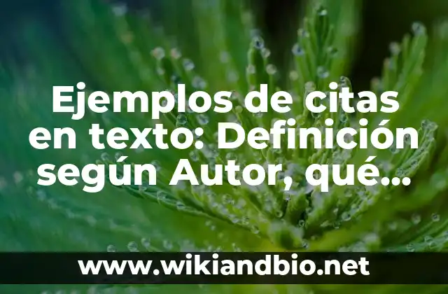 Ejemplos de citas en texto: Definición según Autor, qué es, Concepto