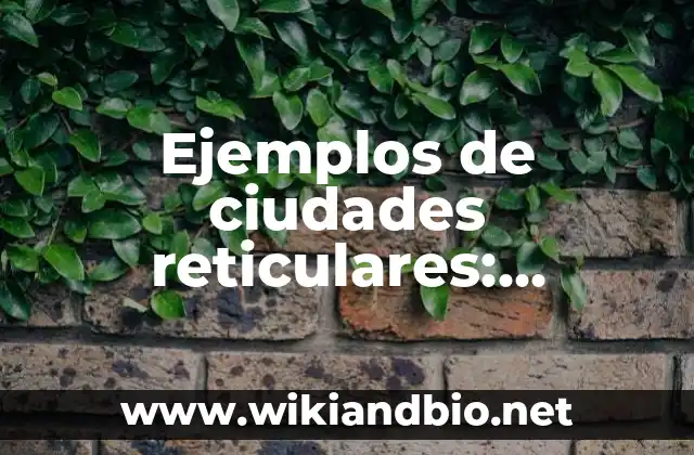 Ejemplos de ciudades reticulares: Definición según Autor, qué es, Concepto