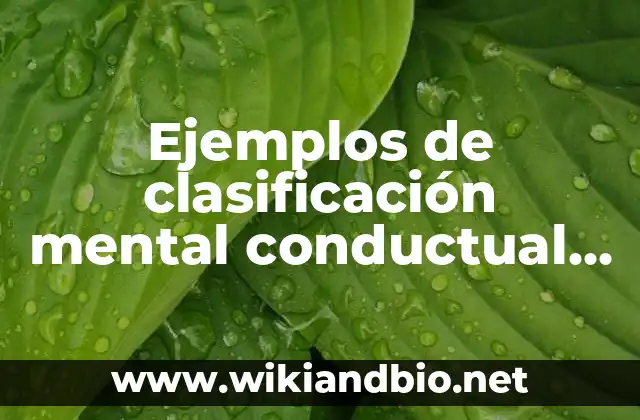 Ejemplos de clasificación mental conductual y relacional holiday
