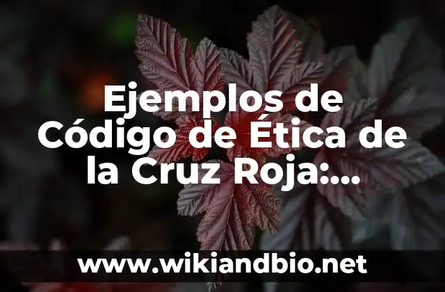 Ejemplos de Código de Ética de la Cruz Roja