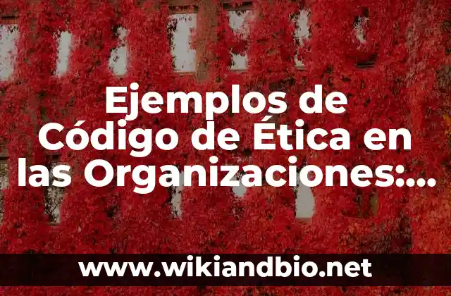 Ejemplos de Código de Ética en las Organizaciones: Definición según Autor, qué es, Concepto y Significado