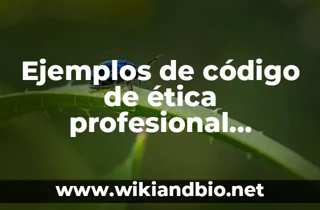 Ejemplos de código de ética profesional docente