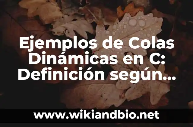Ejemplos de Colas Dinámicas
