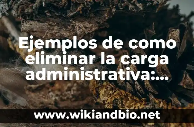 Ejemplos de como eliminar la carga administrativa