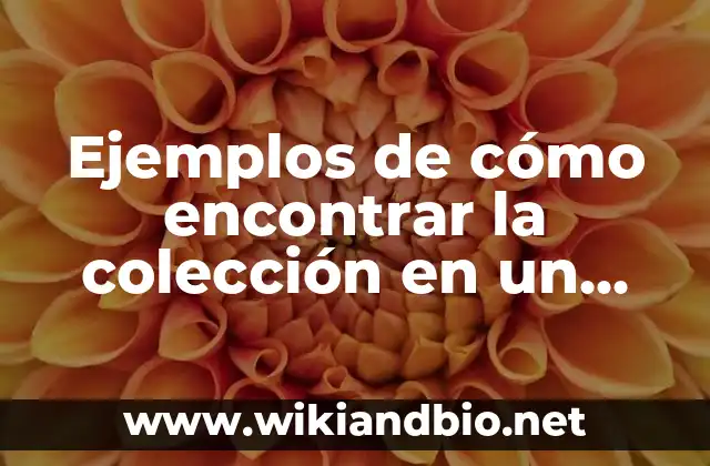 Ejemplos de cómo encontrar la colección en un libro: Definición según