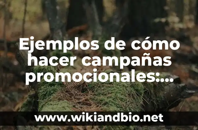 Ejemplos de cómo hacer campañas promocionales: Definición según Autor, qué