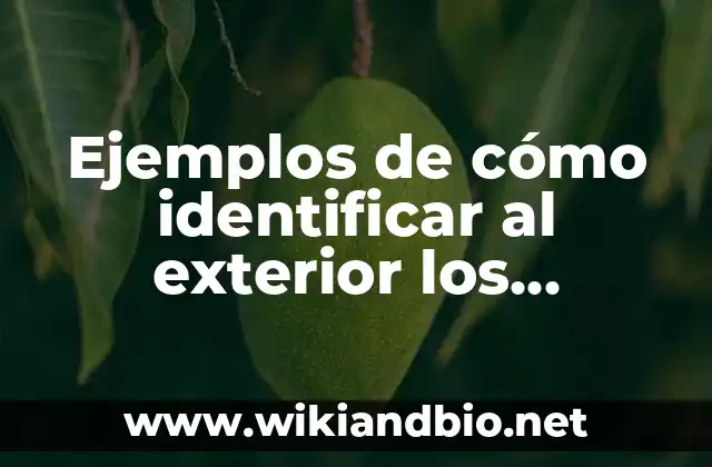 Ejemplos de cómo identificar al exterior los tableros eléctricos