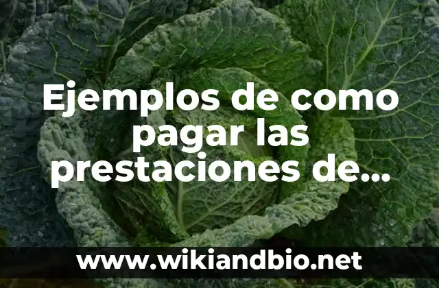 Ejemplos de como pagar las prestaciones de ley